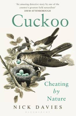 cuckoo